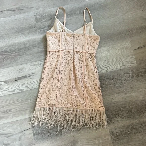 NWT GB Lace Feather Trim dress
